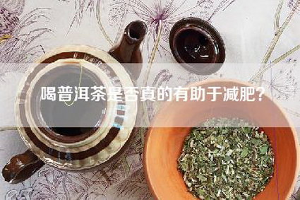 喝普洱茶是否真的有助于减肥？