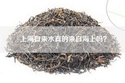 上海自来水真的来自海上吗？