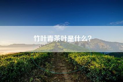 竹叶青茶叶是什么？