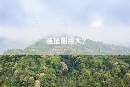 谁是谢裕大？