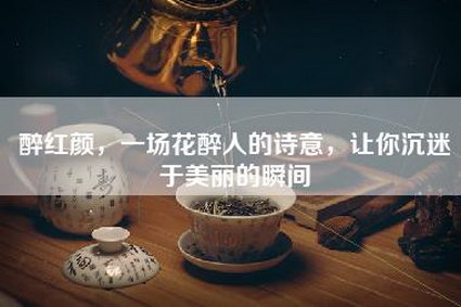 醉红颜，一场花醉人的诗意，让你沉迷于美丽的瞬间
