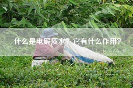 什么是电解质水？它有什么作用？