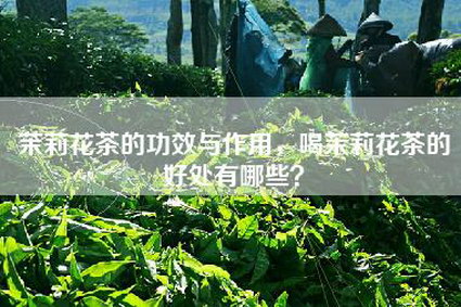 茉莉花茶的功效与作用，喝茉莉花茶的好处有哪些？