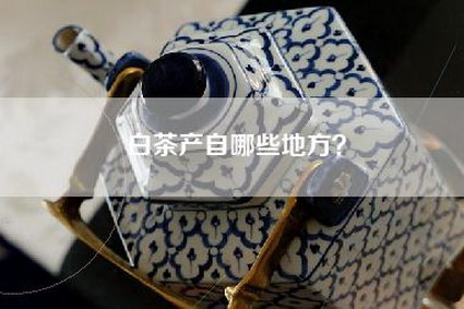 白茶产自哪些地方？
