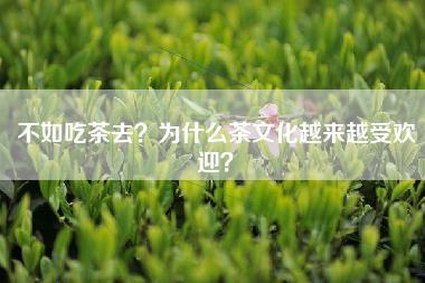 不如吃茶去？为什么茶文化越来越受欢迎？