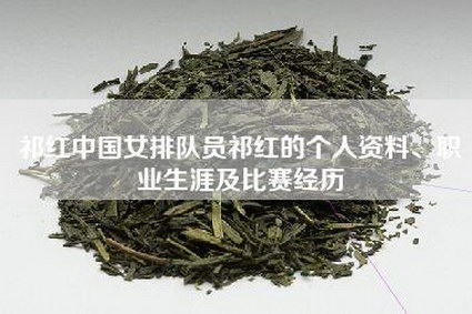 祁红中国女排队员祁红的个人资料、职业生涯及比赛经历