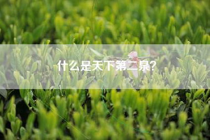 什么是天下第二泉？