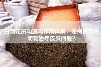 白菊花的功效与作用详解，如何使用白菊花治疗皮肤问题？