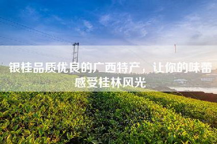银桂品质优良的广西特产，让你的味蕾感受桂林风光