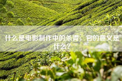 什么是电影制作中的杀青，它的意义是什么？