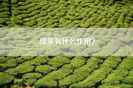 绿茶有什么作用？