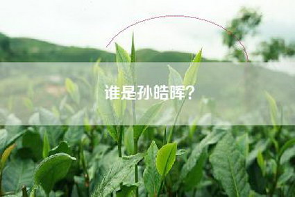 谁是孙皓晖？