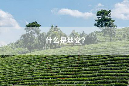 什么是丝交？