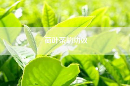 荷叶茶的功效
