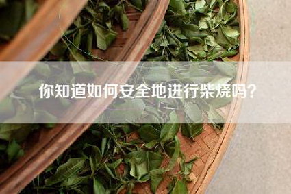 你知道如何安全地进行柴烧吗？