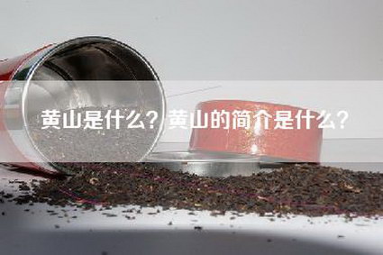 黄山是什么？黄山的简介是什么？