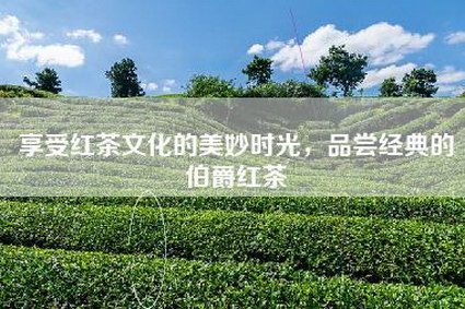 享受红茶文化的美妙时光，品尝经典的伯爵红茶