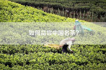 如何品尝中国名茶？