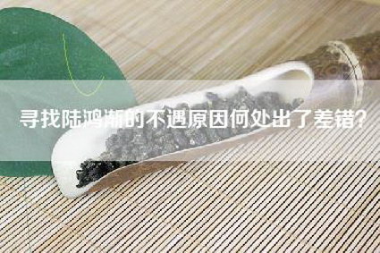 寻找陆鸿渐的不遇原因何处出了差错？