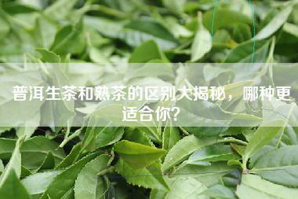 普洱生茶和熟茶的区别大揭秘，哪种更适合你？