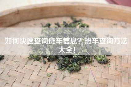 如何快速查询班车信息？班车查询方法大全！