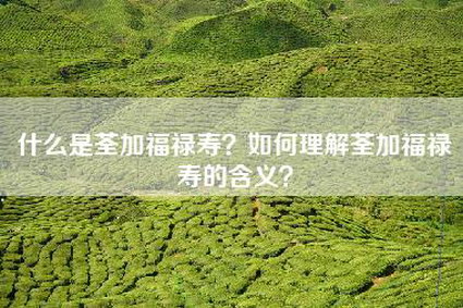 什么是荃加福禄寿？如何理解荃加福禄寿的含义？