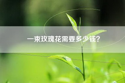 一束玫瑰花需要多少钱？
