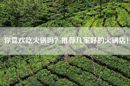 你喜欢吃火锅吗？推荐几家好的火锅店！