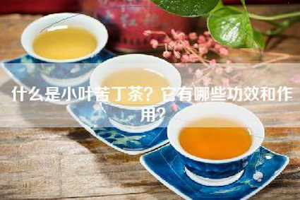 什么是小叶苦丁茶？它有哪些功效和作用？