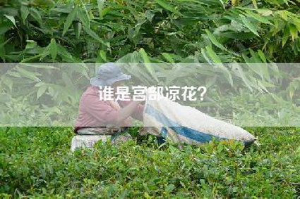 谁是宫部凉花？