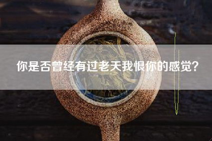你是否曾经有过老天我恨你的感觉？