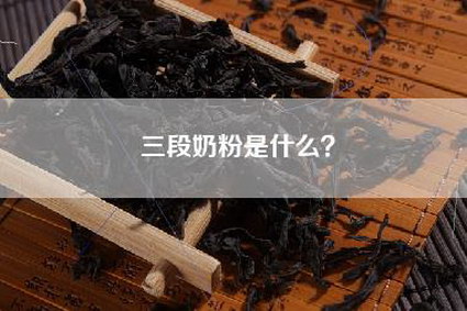 三段奶粉是什么？