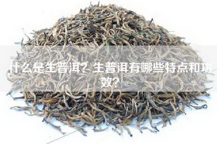 什么是生普洱？生普洱有哪些特点和功效？