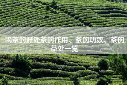 喝茶的好处茶的作用、茶的功效、茶的益处一览