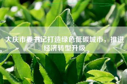 大庆市委书记打造绿色低碳城市，推进经济转型升级