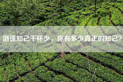 酒逢知己千杯少，你有多少真正的知己？