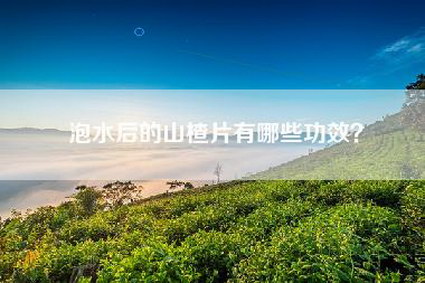 泡水后的山楂片有哪些功效？