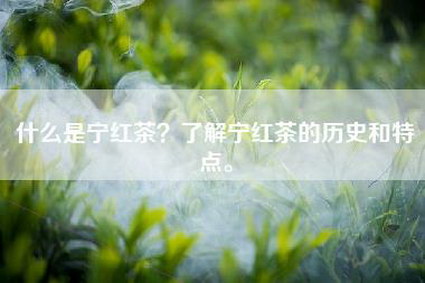 什么是宁红茶？了解宁红茶的历史和特点。