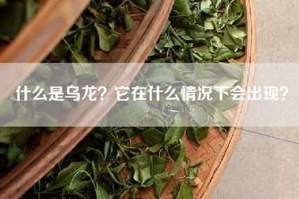 什么是乌龙？它在什么情况下会出现？