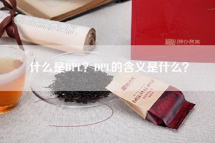 什么是DPL？DPL的含义是什么？