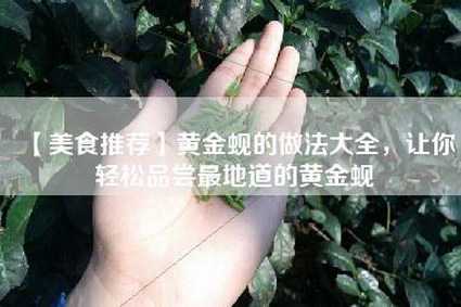 【美食推荐】黄金蚬的做法大全，让你轻松品尝最地道的黄金蚬