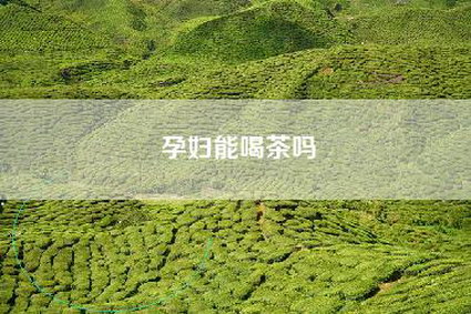 孕妇能喝茶吗