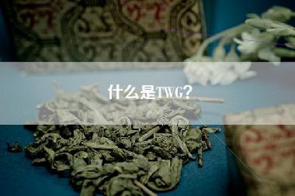 什么是TWG？