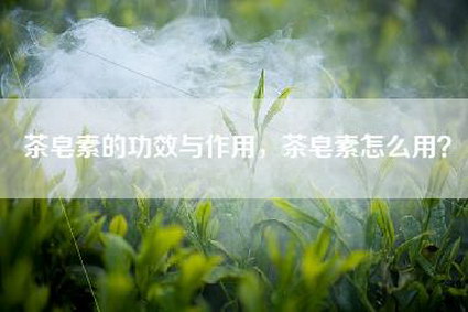 茶皂素的功效与作用，茶皂素怎么用？