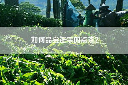 如何品尝正宗的点茶？