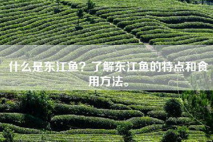 什么是东江鱼？了解东江鱼的特点和食用方法。