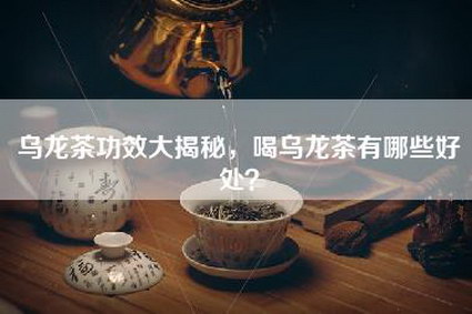 乌龙茶功效大揭秘，喝乌龙茶有哪些好处？