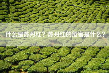 什么是苏丹红？苏丹红的危害是什么？