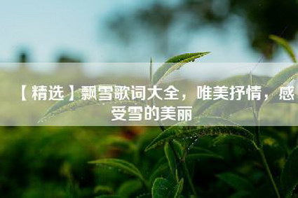 【精选】飘雪歌词大全，唯美抒情，感受雪的美丽