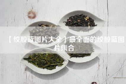 【绞股蓝图片大全】最全面的绞股蓝图片集合